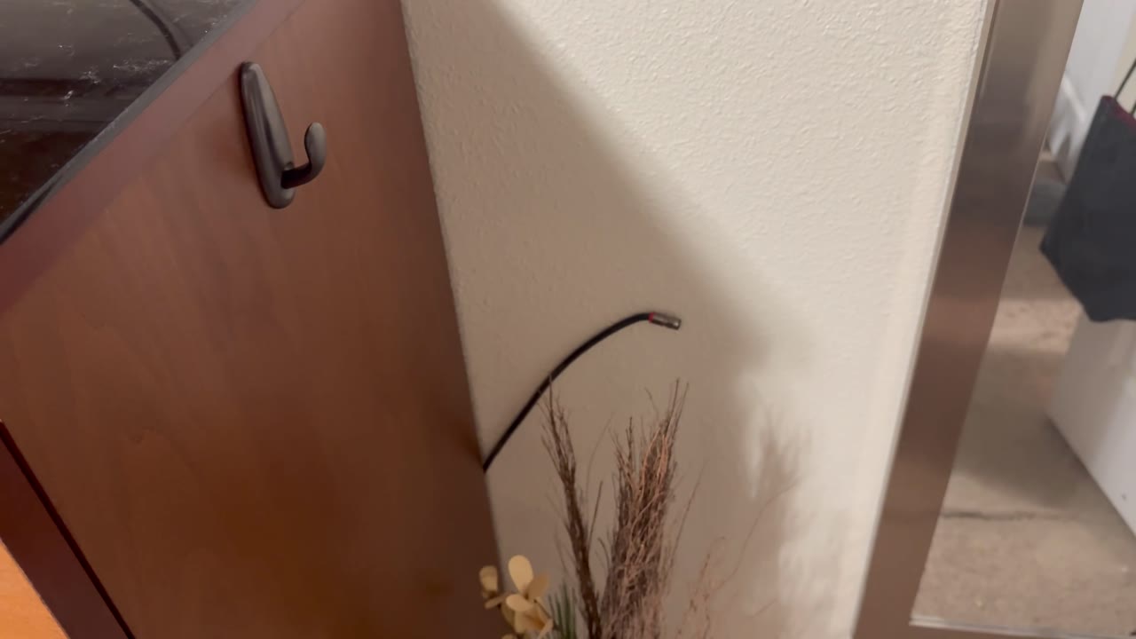 IMG_0642_frame_02_012s.jpg