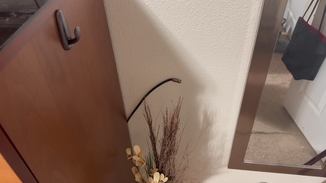IMG_0642_frame_03_018s.jpg